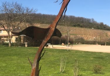 Percorso Marcia Chasselas - Chasselas (Saône- et-Loire région Bourgogne)   - Photo