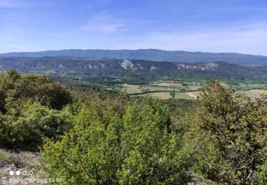 Trail Walking Rustrel - 2021-05-20 Rustrel  - Photo