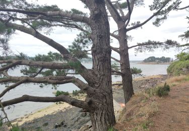 Randonnée Marche Île-aux-Moines - L'île aux Moines - Photo