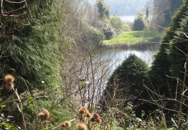 Percorso A piedi Sconosciuto - Castlewellan Forest Park - Lakeside Walk - Photo