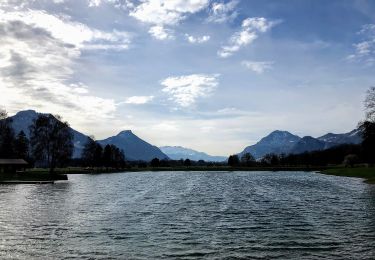 Randonnée A pied Neubeuern - Seilenau - Photo