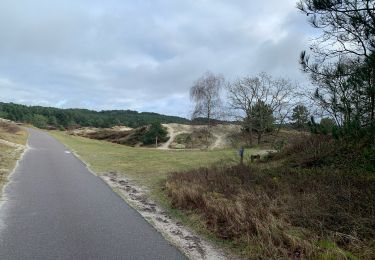 Tocht Stappen Bergen - Groet - schoorlse duinen - Photo