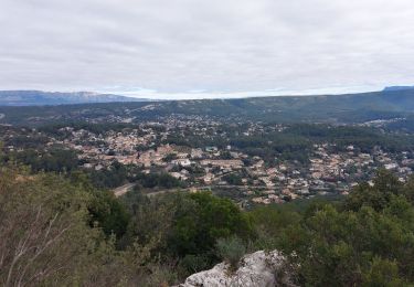 Tour Wandern Peypin - Peypin ;La Cride-Vallon des Mules-Mau Vallon-Le Cstellas - Photo