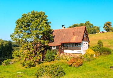 Randonnée A pied Lomnice nad Popelkou - [Ž] Lomnice nad Popelkou - Skuhrov - Photo