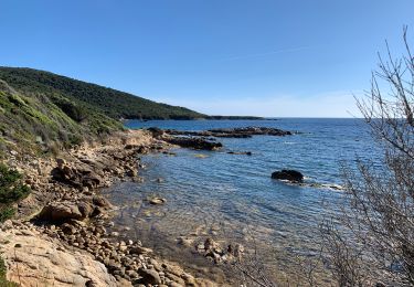 Tocht Stappen Serra-di-Ferro - Porto Pollo a cupabia, retour par sentier littoral - Photo