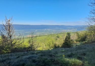 Trail Walking Chanay - AIN: COL DE RICHEMONT SUD ET NORD - Photo