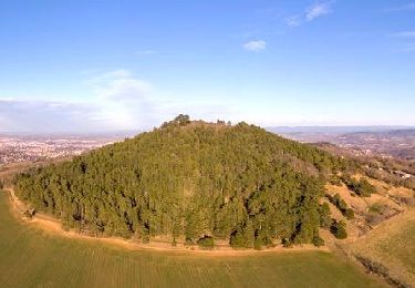 Trail Walking Romagnat - Saulzet_Chaud_Puy_Giroux_Auzon - Photo