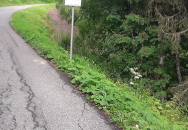 Tocht Wegfiets Morzine - avoriaz par la joux verte - Photo