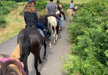 Tour Reiten Montsauche-les-Settons - Tracé cimetière militaire stèle  - Photo