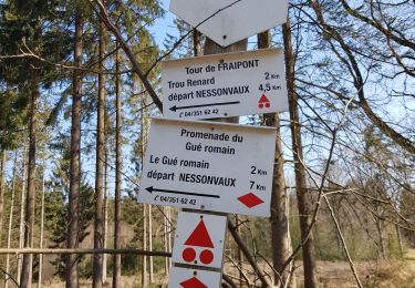 Tocht Stappen Trooz - 2022-02-03_17h57m35_BaladedeFraipont - Photo