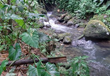 Excursión Senderismo Vieux-Habitants - vallée et cascade Beaugendre - Photo