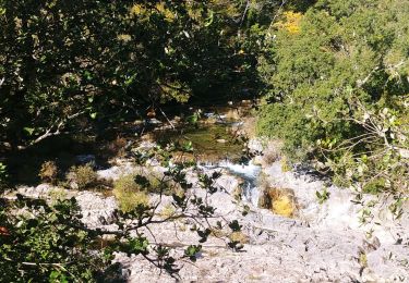 Randonnée A pied Tanneron - La chapelle de St Cassien des bois, le pont détruit et au fil de l'eau - Photo