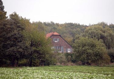 Tour Zu Fuß  - Forstwald Rundweg A1 - Photo