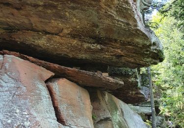 Tour Wandern Celles-sur-Plaine - peine de sucre - Photo