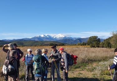 Trail Walking Ria-Sirach - fourques marche  - Photo