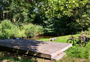 Percorso Mountainbike Raon-sur-Plaine - 2021-09-06 Sortie VTT Raon sur Plaine Raon Etape - Photo