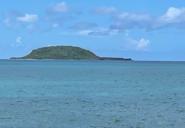 Percorso A piedi Sainte-Rose - Littoral de Sainte Rose - Photo