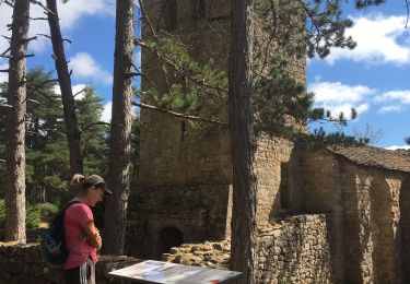 Excursión Senderismo Veyreau - Corniche du Causse noir (Le point sublime)  - Photo