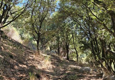 Excursión Senderismo Appietto - Appietto, Bocca Force, Punta San Sisto (boucle) - Photo