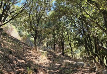 Tour Wandern Appietto - Appietto, Bocca Force, Punta San Sisto (boucle) - Photo