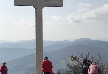 Randonnée Marche Chiroubles - Fût d’Avenas  (13 km - D. 455 m) - Photo