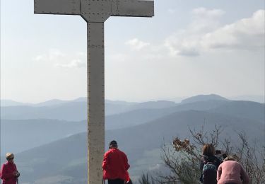 Percorso Marcia Chiroubles - Fût d’Avenas  (13 km - D. 455 m) - Photo