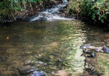 Tocht Stappen Saint-Derrien - St-Derrien randonnée vers Moulin de Lansolot - Photo