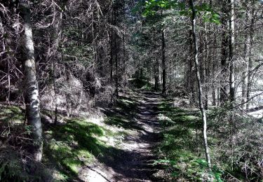 Excursión A pie Pfalzgrafenweiler - Zinsbachmühle-Waldsägemühle - Photo