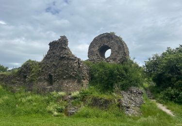 Tour sport Thann - Thann œil de la sorcière engelbourg - Photo