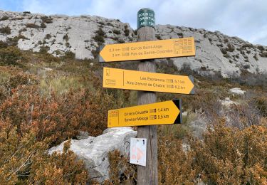 Randonnée Marche Val-Buëch-Méouge - Montagne de Chabre (03 2925) - Photo