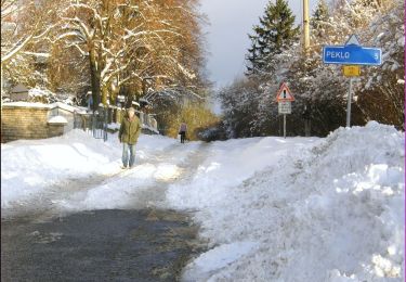 Tour Zu Fuß Neustadt an der Mettau - [Z] Novoměstský okruh - Photo