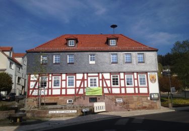 Percorso A piedi Gudensberg - Gestecke - Niedenstein - Photo