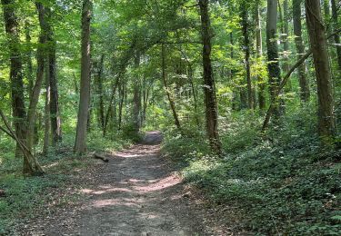 Tocht Stappen Eijsden-Margraten - Rijckholt - Photo