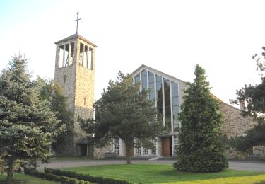 Excursión A pie Tongeren - Beukenberg Gele pijl - Photo