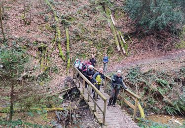 Trail Walking Saint-Maximin - Avalon-Pontcharra - Photo