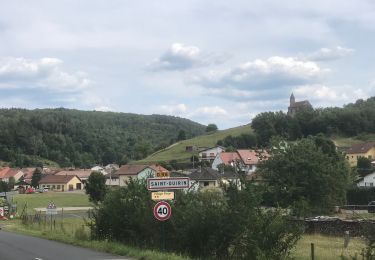 Trail Walking Saint-Quirin - 2020-07-19 St quirin 3 Roses - Photo