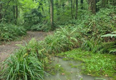 Trail Walking Saint-Laurent-sur-Mer - saint Laurent sur mer  - Photo