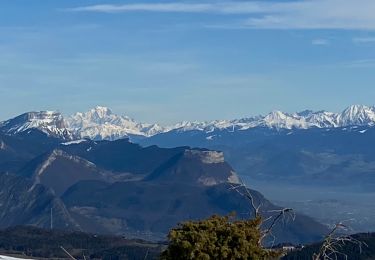 Trail Walking Lans-en-Vercors - LSG Col Croix Perrin déc 2019 - Photo