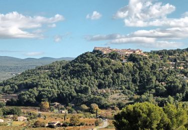 Excursión Senderismo La Cadière-d'Azur - La Cadière d'Azur-05-11-21 - Photo