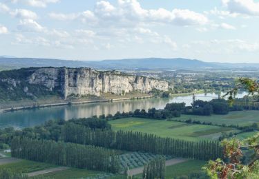 Tour Wandern Châteauneuf-du-Rhône - 2024-06-16_06h15m19_t219378880_chateauneuf du rhone - - Photo