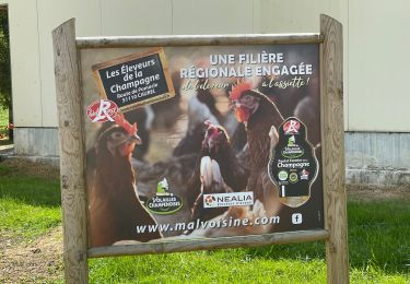 Percorso Marcia Montigny-lès-Condé - Montigny les Conde - Photo