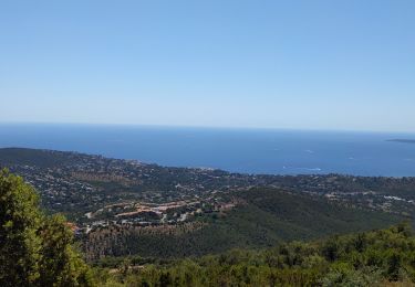 Randonnée Marche Roquebrune-sur-Argens - la cabasse - Photo