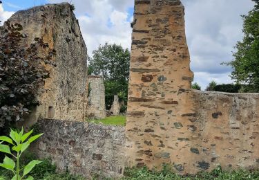 Randonnée Marche Oradour-sur-Glane - les hauts d'orateur sur glane - Photo