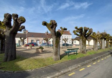 Tour Rennrad Paron - 165 NO105 Esmans # Dormelles-01 - Photo