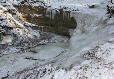 Tour Zu Fuß Röthenbach an der Pegnitz - Schönberger Jakobsweg - Photo