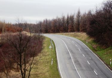 Tocht Te voet Kaposvár - K+ (Kaposvár, Kapos-híd - Zselickislak - Kecske-hát - 67-es út - Csurgó) - Photo