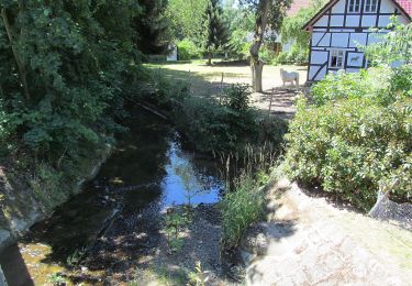 Tour Zu Fuß Bad Emstal - Bad Emstal, E12 - Kuppenweg - Photo