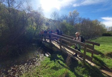 Trail Walking Lhez - LHEZG42021 - Photo