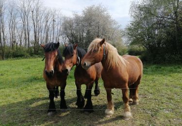Percorso Marcia Flémalle - awirs warfusée sur-les-bois - Photo