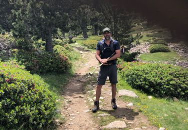 Tour Wandern Fillols - 20210715 Le Canigou depuis Milleres  - Photo